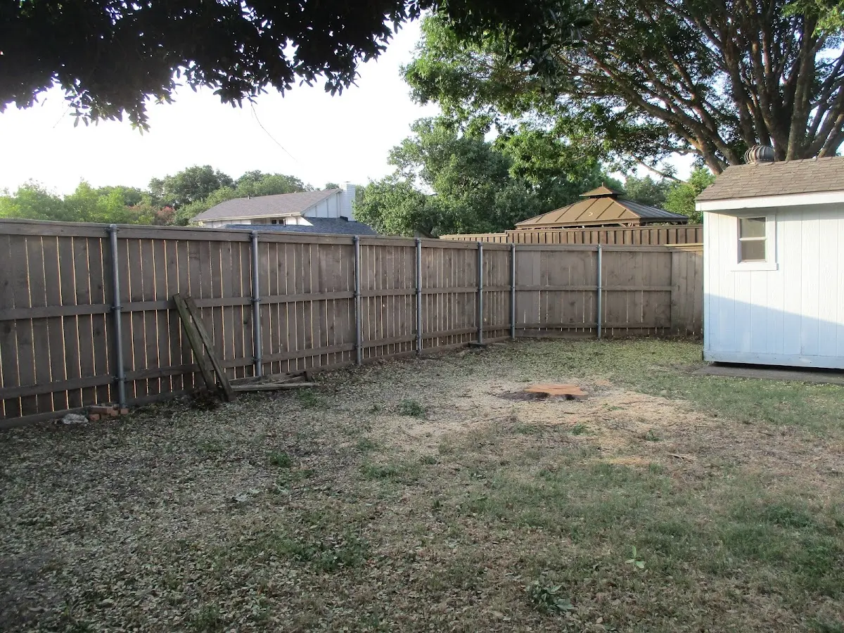 Cleared yard after professional tree removal in Eastman